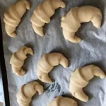 Biancogelso Vegan 3*