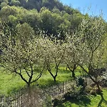 Panzió Biancogelso Vegan Gardone Riviera