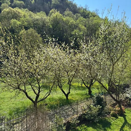 Bed and breakfast Biancogelso Vegan Gardone Riviera
