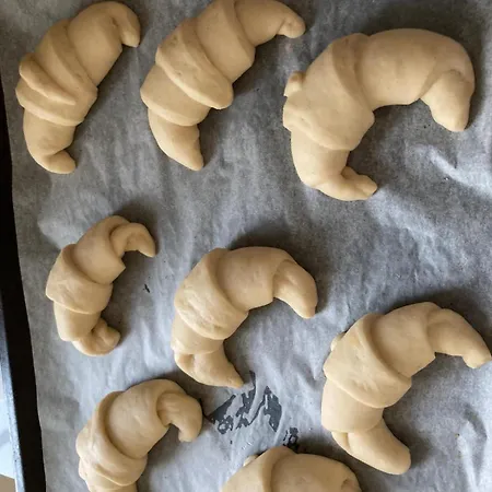 Biancogelso Vegan *